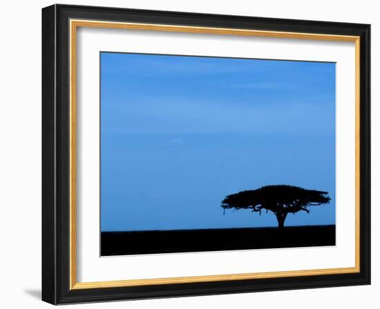 Acacia Tree Silhouetted, Tanzania-Edwin Giesbers-Framed Photographic Print