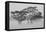 Acacia Trees covered by mist, Lake Nakuru, Kenya-null-Framed Premier Image Canvas