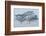 Acacia Trees covered by mist, Lake Nakuru, Kenya-Panoramic Images-Framed Photographic Print