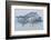 Acacia Trees covered by mist, Lake Nakuru, Kenya-Panoramic Images-Framed Photographic Print