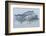 Acacia Trees covered by mist, Lake Nakuru, Kenya-Panoramic Images-Framed Photographic Print