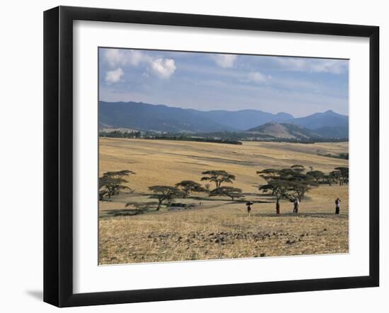 Acacia Trees on High Grasslands in Front of Bale Mountains, Southern Highlands, Ethiopia, Africa-Tony Waltham-Framed Photographic Print