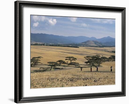 Acacia Trees on High Grasslands in Front of Bale Mountains, Southern Highlands, Ethiopia, Africa-Tony Waltham-Framed Photographic Print