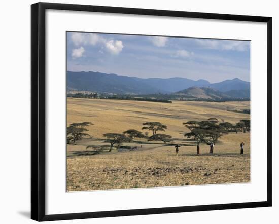 Acacia Trees on High Grasslands in Front of Bale Mountains, Southern Highlands, Ethiopia, Africa-Tony Waltham-Framed Photographic Print