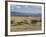 Acacia Trees on High Grasslands in Front of Bale Mountains, Southern Highlands, Ethiopia, Africa-Tony Waltham-Framed Photographic Print