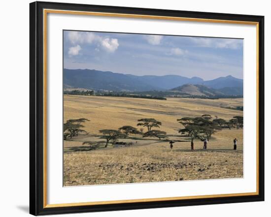 Acacia Trees on High Grasslands in Front of Bale Mountains, Southern Highlands, Ethiopia, Africa-Tony Waltham-Framed Photographic Print