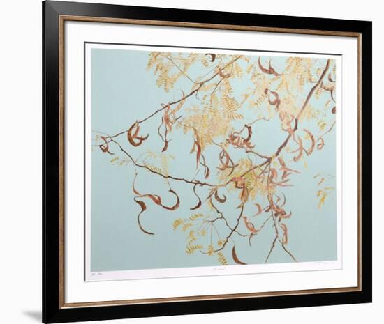 Acacia-Jon D'Orazio-Framed Collectable Print