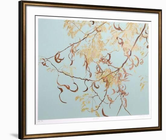 Acacia-Jon D'Orazio-Framed Collectable Print