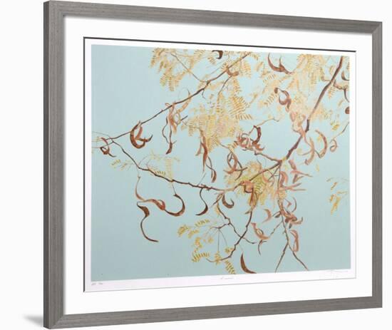 Acacia-Jon D'Orazio-Framed Collectable Print