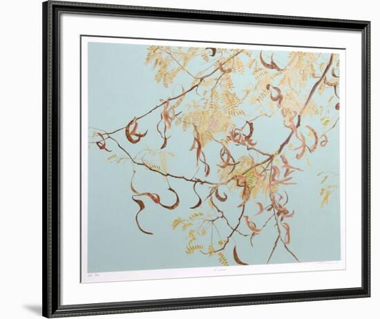 Acacia-Jon D'Orazio-Framed Collectable Print