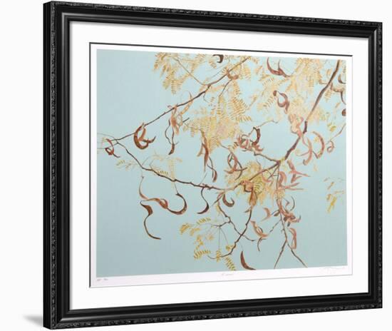 Acacia-Jon D'Orazio-Framed Collectable Print