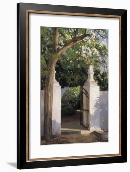 Acacia-Poch Romeu-Framed Giclee Print