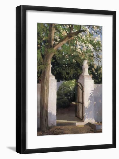 Acacia-Poch Romeu-Framed Giclee Print