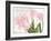 Academie des Fleurs-Jenny Thomlinson-Framed Art Print