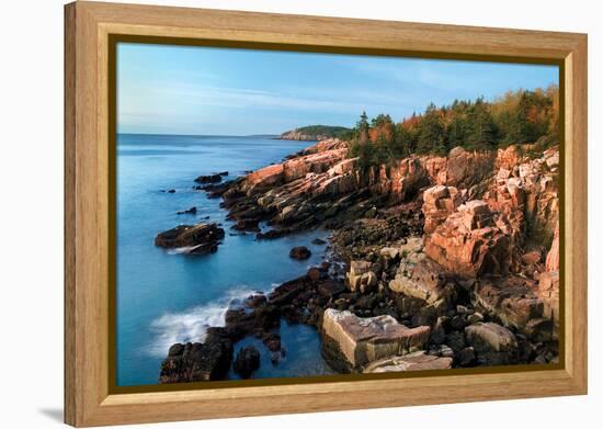 Acadia Coastline-Larry Malvin-Framed Premier Image Canvas