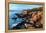 Acadia Coastline-Larry Malvin-Framed Premier Image Canvas