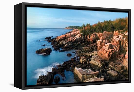 Acadia Coastline-Larry Malvin-Framed Premier Image Canvas