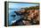 Acadia Coastline-Larry Malvin-Framed Premier Image Canvas