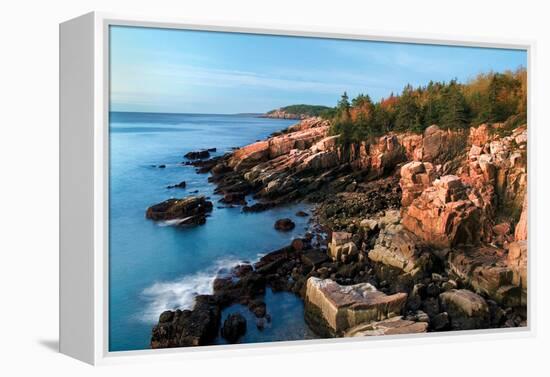 Acadia Coastline-Larry Malvin-Framed Premier Image Canvas