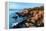Acadia Coastline-Larry Malvin-Framed Premier Image Canvas