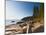 Acadia National Park, Mount Desert Island, Maine, New England, USA, North America-Alan Copson-Mounted Photographic Print