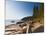 Acadia National Park, Mount Desert Island, Maine, New England, USA, North America-Alan Copson-Mounted Photographic Print