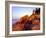 Acadia NP, Maine. Bass Harbor Head Lighthouse at Sunrise-Scott T. Smith-Framed Photographic Print