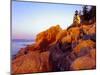 Acadia NP, Maine. Bass Harbor Head Lighthouse at Sunrise-Scott T. Smith-Mounted Photographic Print
