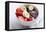 Acai Bowl-oysy-Framed Premier Image Canvas