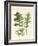 Acanthus Plants-null-Framed Giclee Print