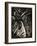 Acapulco Girl (Coconunt Palm)-Howard Cook-Framed Art Print