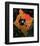 Accent en Rose, 1926-Wassily Kandinsky-Framed Art Print