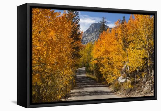 Access Road to Sabrina Lake, Eastern Sierra, Bishop Creek, California-Michael Qualls-Framed Premier Image Canvas