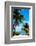 Access to the Beach Paradise - Florida - USA-Philippe Hugonnard-Framed Photographic Print