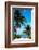 Access to the Beach Paradise - Florida - USA-Philippe Hugonnard-Framed Photographic Print