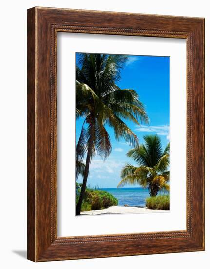 Access to the Beach Paradise - Florida - USA-Philippe Hugonnard-Framed Photographic Print