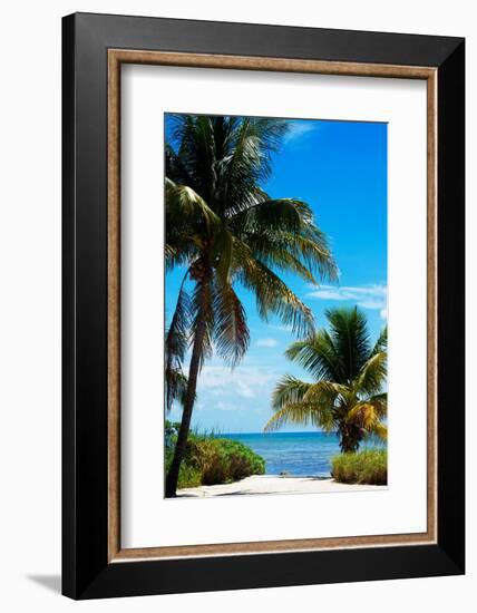 Access to the Beach Paradise - Florida - USA-Philippe Hugonnard-Framed Photographic Print