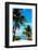 Access to the Beach Paradise - Florida - USA-Philippe Hugonnard-Framed Photographic Print