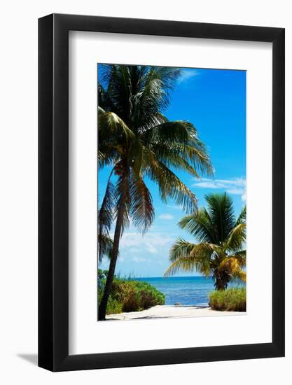 Access to the Beach Paradise - Florida - USA-Philippe Hugonnard-Framed Photographic Print