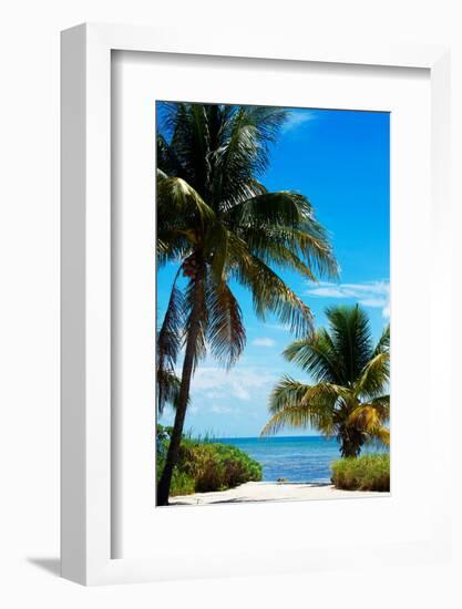 Access to the Beach Paradise - Florida - USA-Philippe Hugonnard-Framed Photographic Print