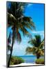 Access to the Beach Paradise - Florida - USA-Philippe Hugonnard-Mounted Photographic Print