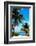 Access to the Beach Paradise - Florida - USA-Philippe Hugonnard-Framed Photographic Print