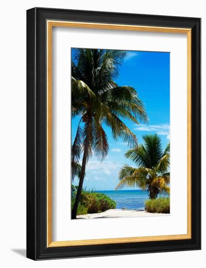 Access to the Beach Paradise - Florida - USA-Philippe Hugonnard-Framed Photographic Print