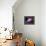 Accretion by a Supermassive Black Hole-null-Framed Premier Image Canvas displayed on a wall