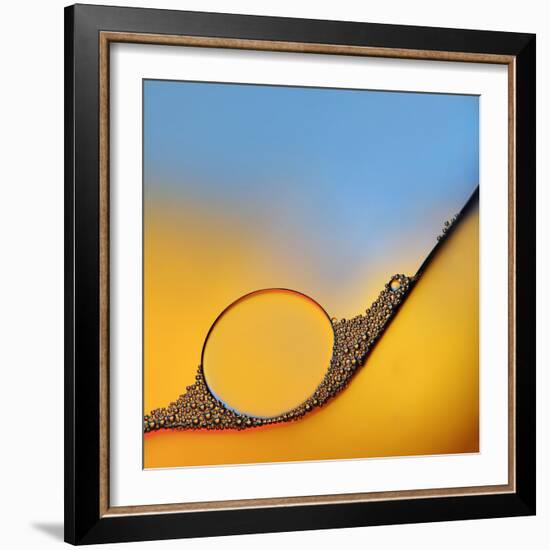 Accumulates-Heidi Westum-Framed Photographic Print