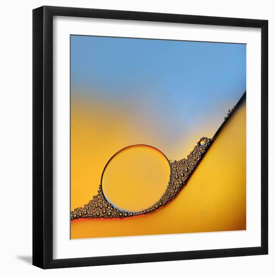 Accumulates-Heidi Westum-Framed Photographic Print