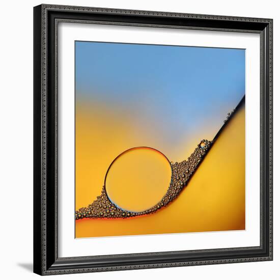 Accumulates-Heidi Westum-Framed Photographic Print