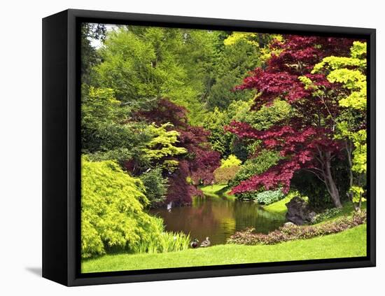 Acer Trees and Pond in Sunshine, Gardens of Villa Melzi, Bellagio, Lake Como, Lombardy, Italy-Peter Barritt-Framed Premier Image Canvas