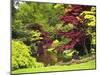 Acer Trees and Pond in Sunshine, Gardens of Villa Melzi, Bellagio, Lake Como, Lombardy, Italy-Peter Barritt-Mounted Photographic Print