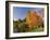 Acer Trees in Autumn, Sheffield Park, Sussex, England, United Kingdom-Michael Busselle-Framed Photographic Print